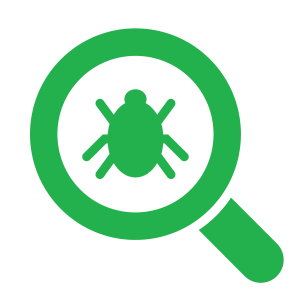 termite-inspection